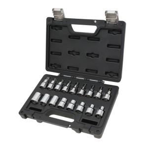 Zestaw nasadek profil torx i ftx z gniazdem 1/2  z akcesoriami,  17 sztuk, w pudełku z tworzywa sztucznego,  seria Beta Worker, model BW923E-FTX/C17