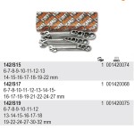 KOMPLET KLUCZY PŁASKO-OCZKOWYCH Z DWUKIERUNKOWYM MECHANIZMEM ZAPADKOWYM 142, 6 - 32 MM, 19 SZTUK, W KARTONIE, MODEL 142/S19